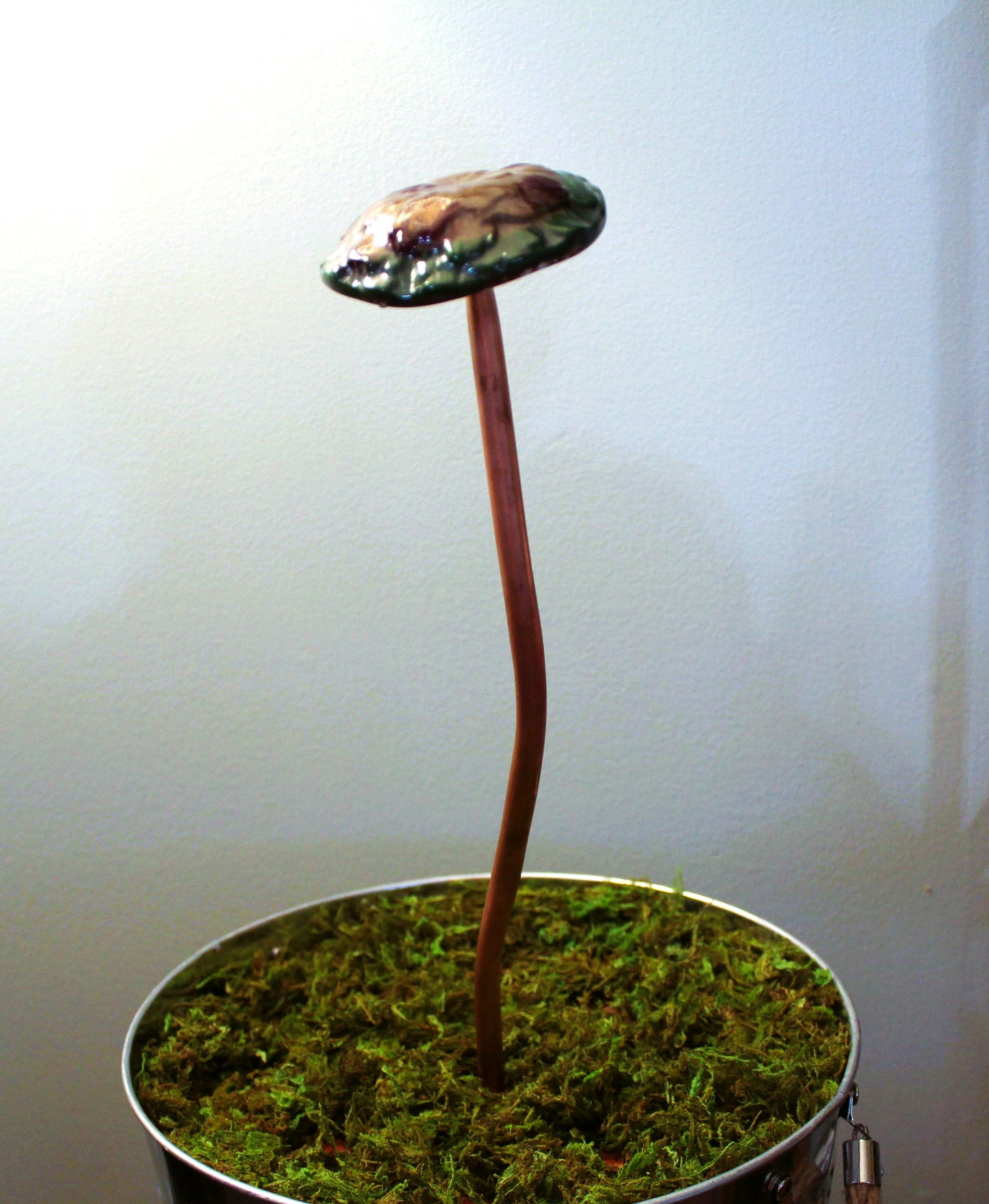 Garden Mushrooms - Multiple Colors Available